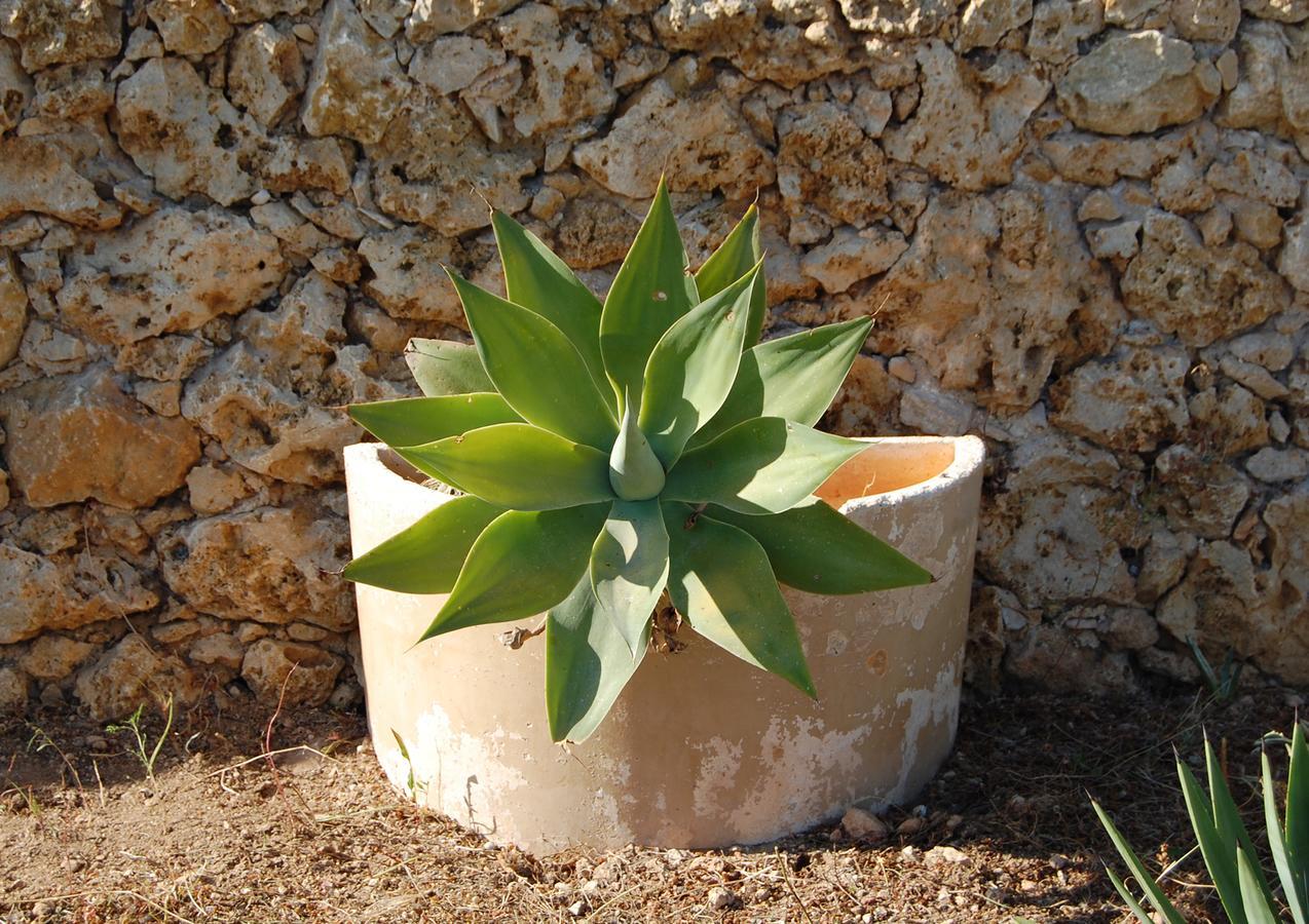 Mood Farmhouse Mythology Għarb Exteriör bild